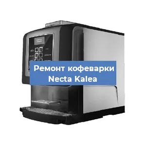 Замена термостата на кофемашине Necta Kalea в Екатеринбурге